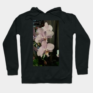 Pink orchids Hoodie